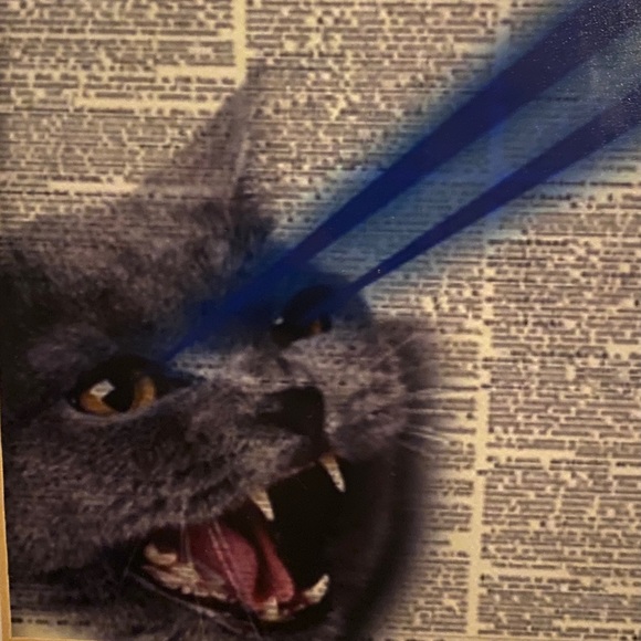 Meet your Posher, Kaarina - Picture 1 of 1